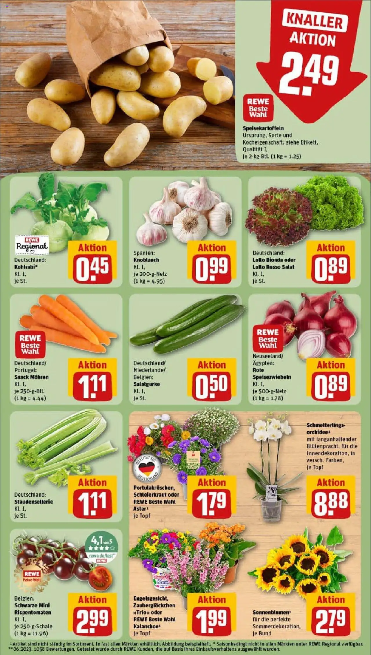 Rewe prospekt Braunschweig / Watenbüttel	 - gültig ab dem 06.07.2025 | Seite: 7 | Produkte: Kohlrabi, Mohren, Knoblauch, Salat