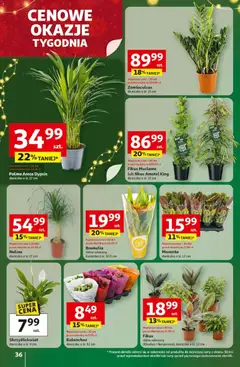 Pogląd oferty "Auchan Black Friday" - ważna od 13.11.2025 | Strona: 36