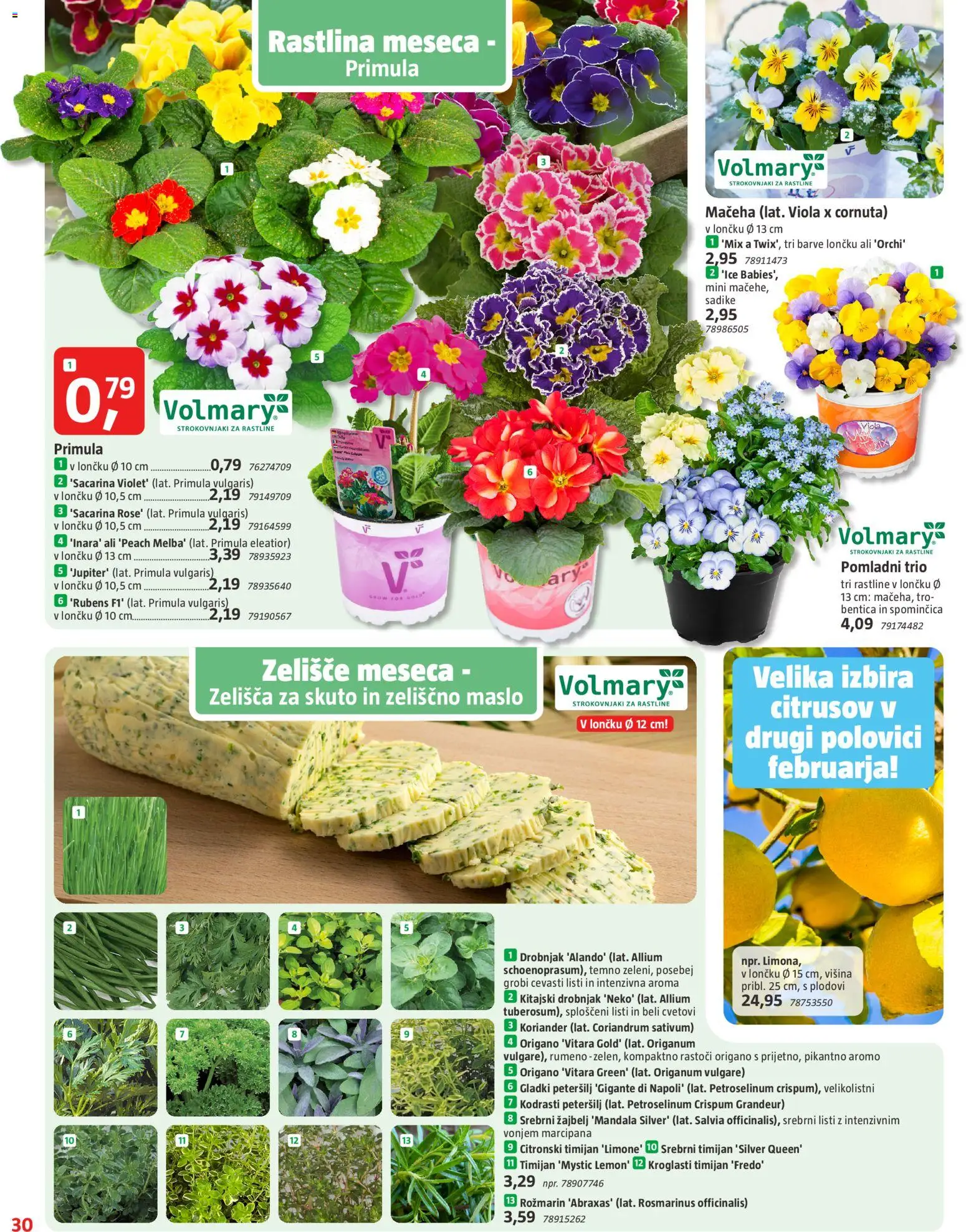 Novi Bauhaus katalog ponudbe – veljaven od 29.01.2026 | Stran: 30 | Izdelki: Maslo