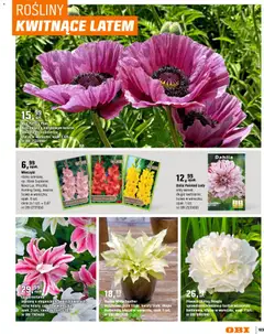 Pogląd oferty "OBI gazetka - Ogród" - ważna od 11.03.2026 | Strona: 103 | Produkty: Mak, Rosliny, Kwiaty