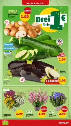 Penny Prospekt 	 - gültig ab dem 28.07.2025 | Seite: 3 | Produkte: Vase, Champignons, Aubergine, Zucchini
