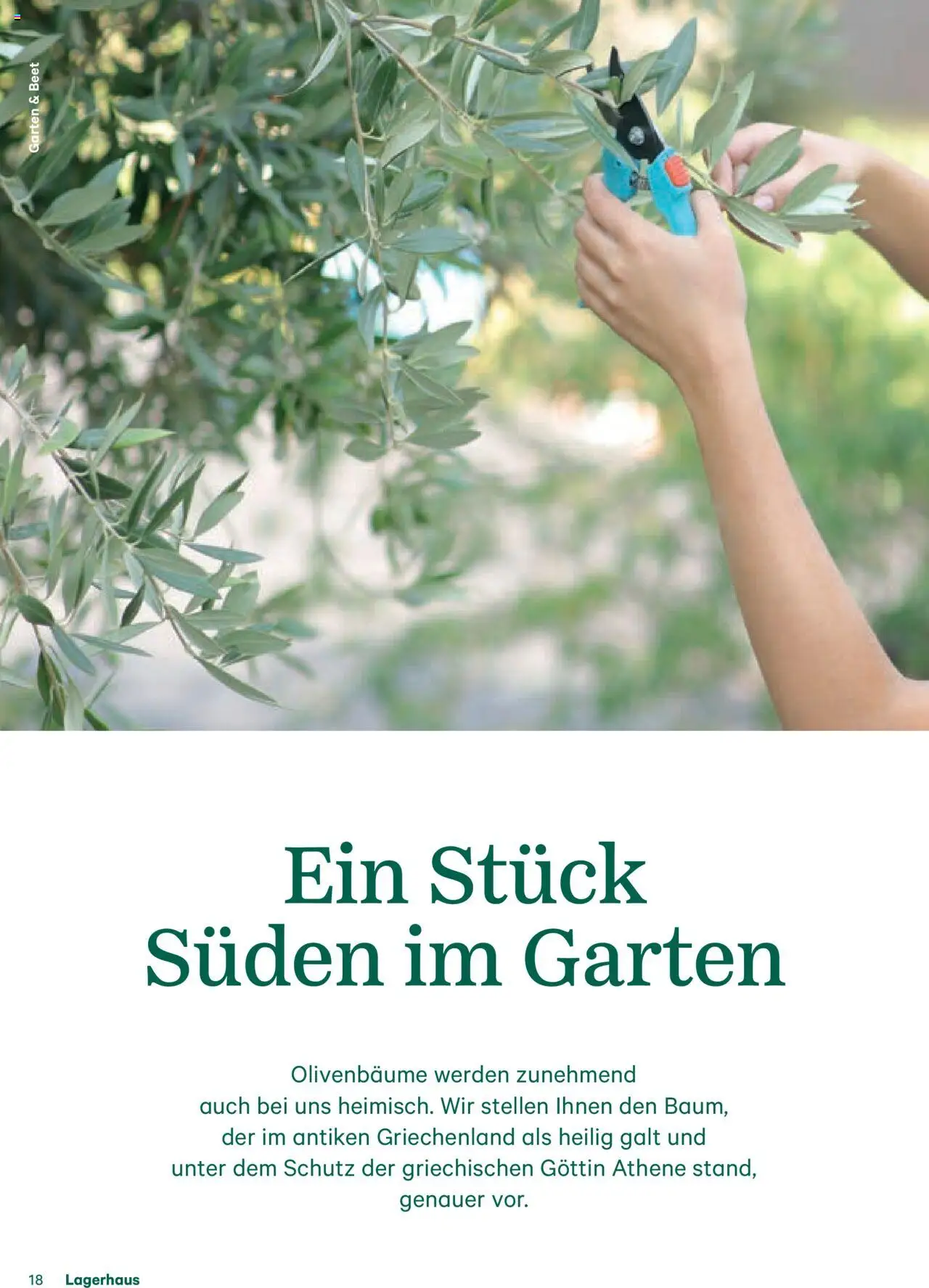 Lagerhaus Fürs Leben am Land Magazin gültig ab 28.04.2025 | Seite: 18