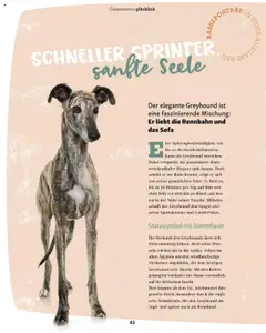 Fressnapf Flugblatt ab 01.09.2025 gültig | Seite: 42 | Produkte: Sofa