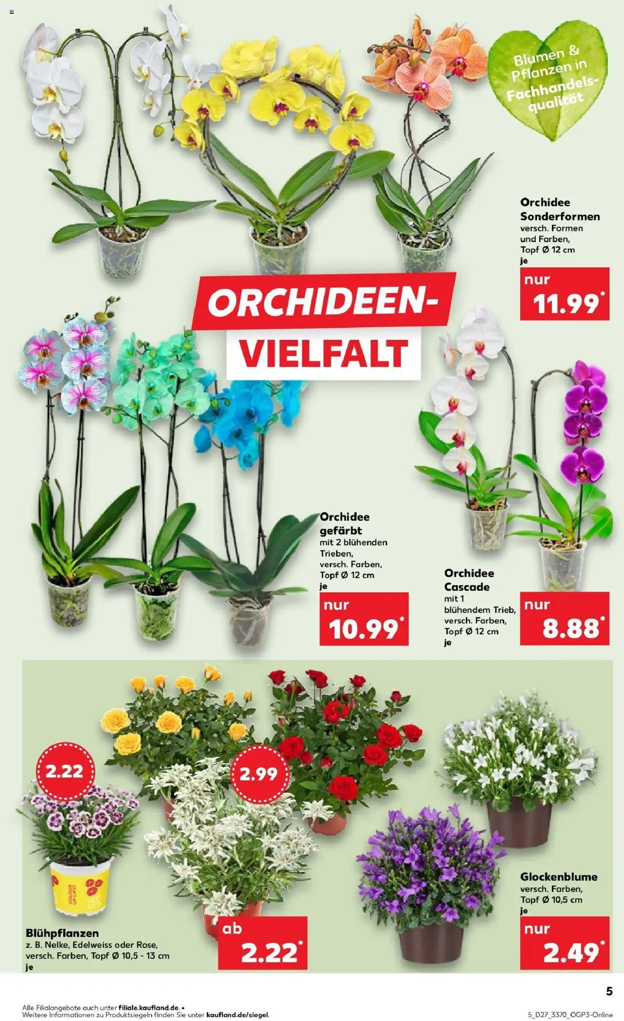 Kaufland prospekt Strausberg	 - gültig ab dem 03.07.2025 | Seite: 5 | Produkte: Orchidee, Blumen