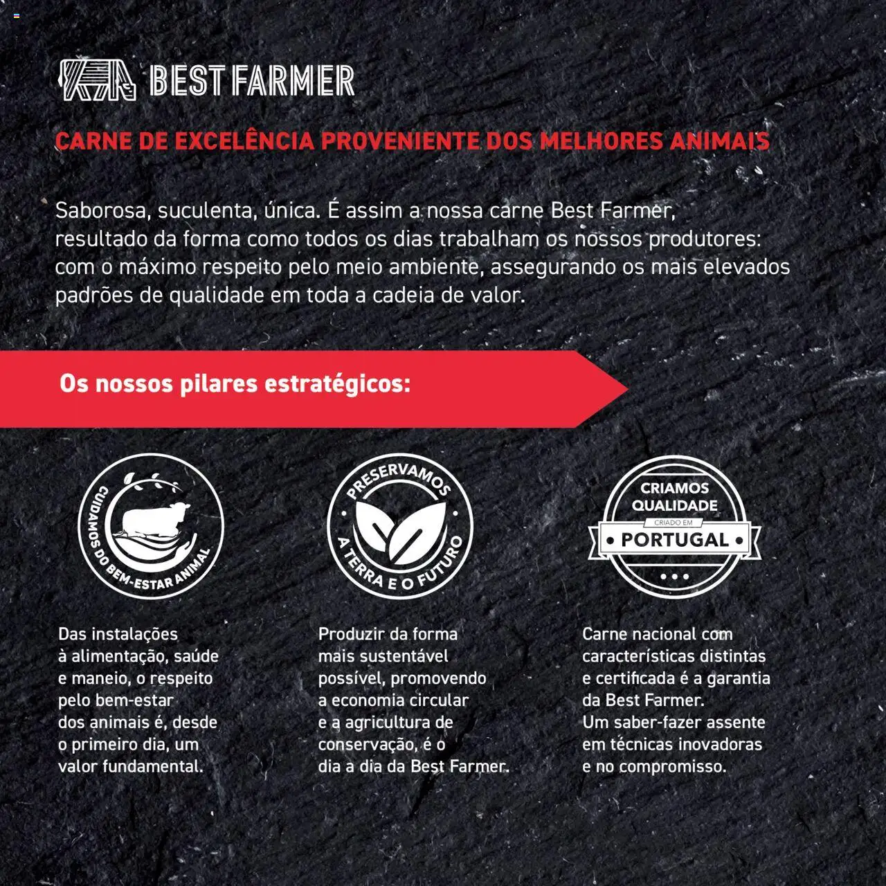 Recheio Best Farmer │ válido de 19.09.2024 | Página: 2 | Produtos: Carne
