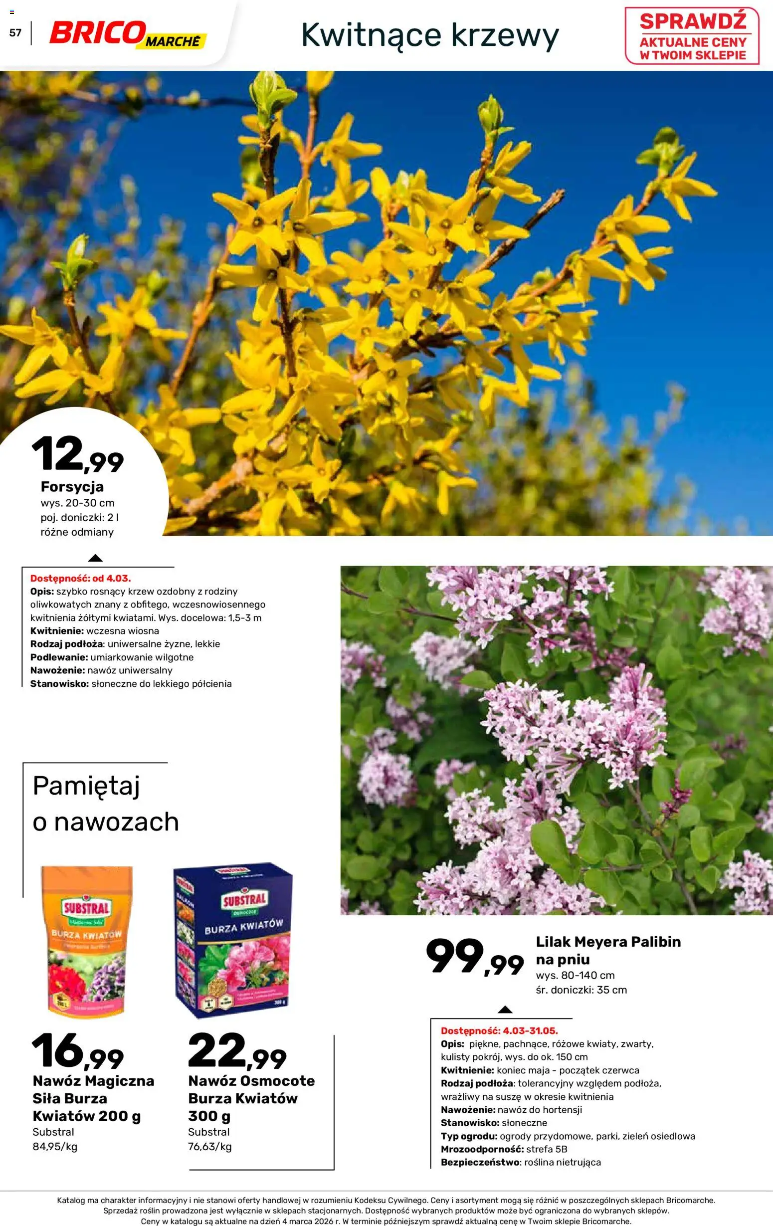 Brico Marché gazetka - Wiosna od 04.03.2026 | Strona: 57 | Produkty: Doniczki