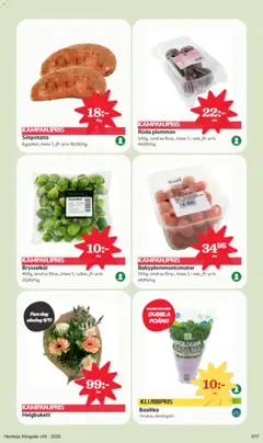 Basilika, I kruka, ekologisk - Förhandsvisning av reklamblad från butik Hemköp aktuell från 03.11.2025 | Sida: 5