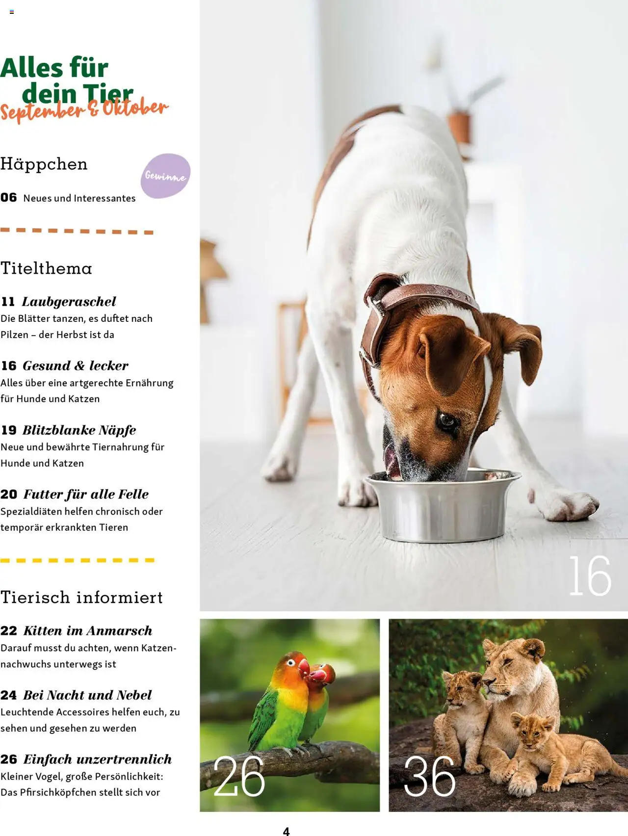 Fressnapf Friends Magazin – gültig ab 01.09.2025 | Seite: 4