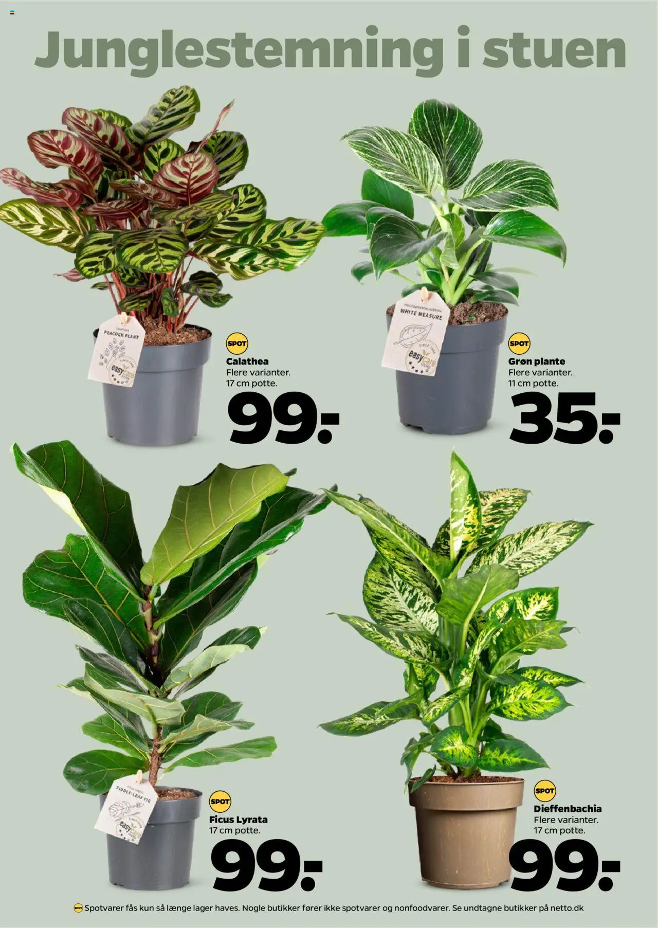 Netto tilbudsavis – gyldig fra 27.09.2025 | Side: 32