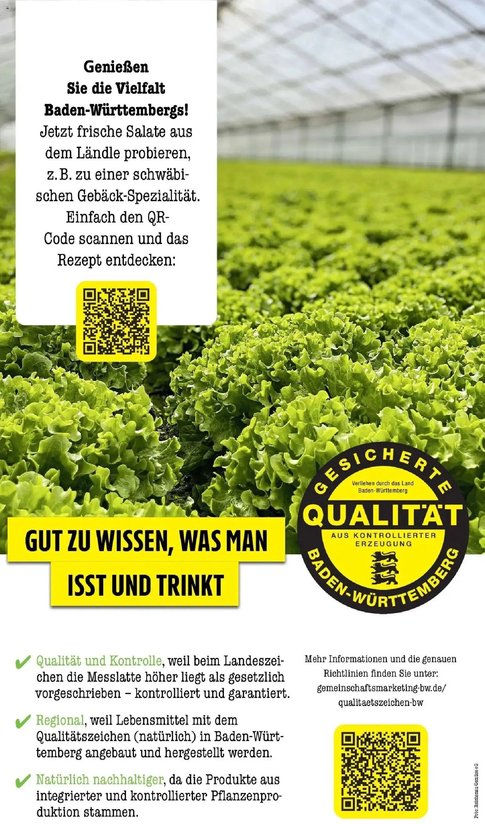 E center Prospekt Sinzheim	 – gültig ab 16.03.2026 | Seite: 50