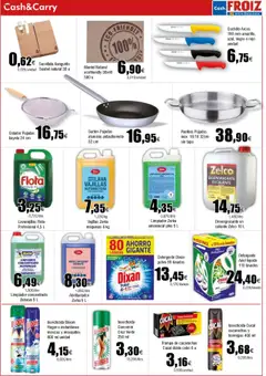 Froiz - Folleto Cash │ válido desde el 22.07.2025 | Página: 13 | Productos: Polvo, Mantel, Detergente, Lavavajillas