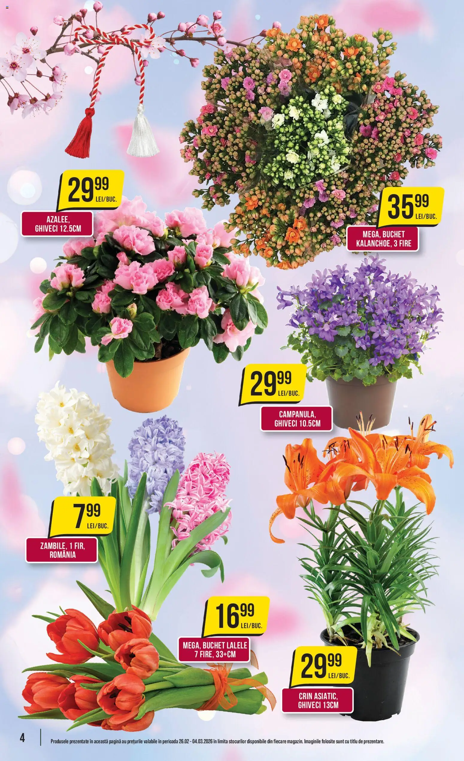 Noul catalog Mega Image – valabil de la 26.02.2026 | Pagină: 4 | Produse: Ghiveci