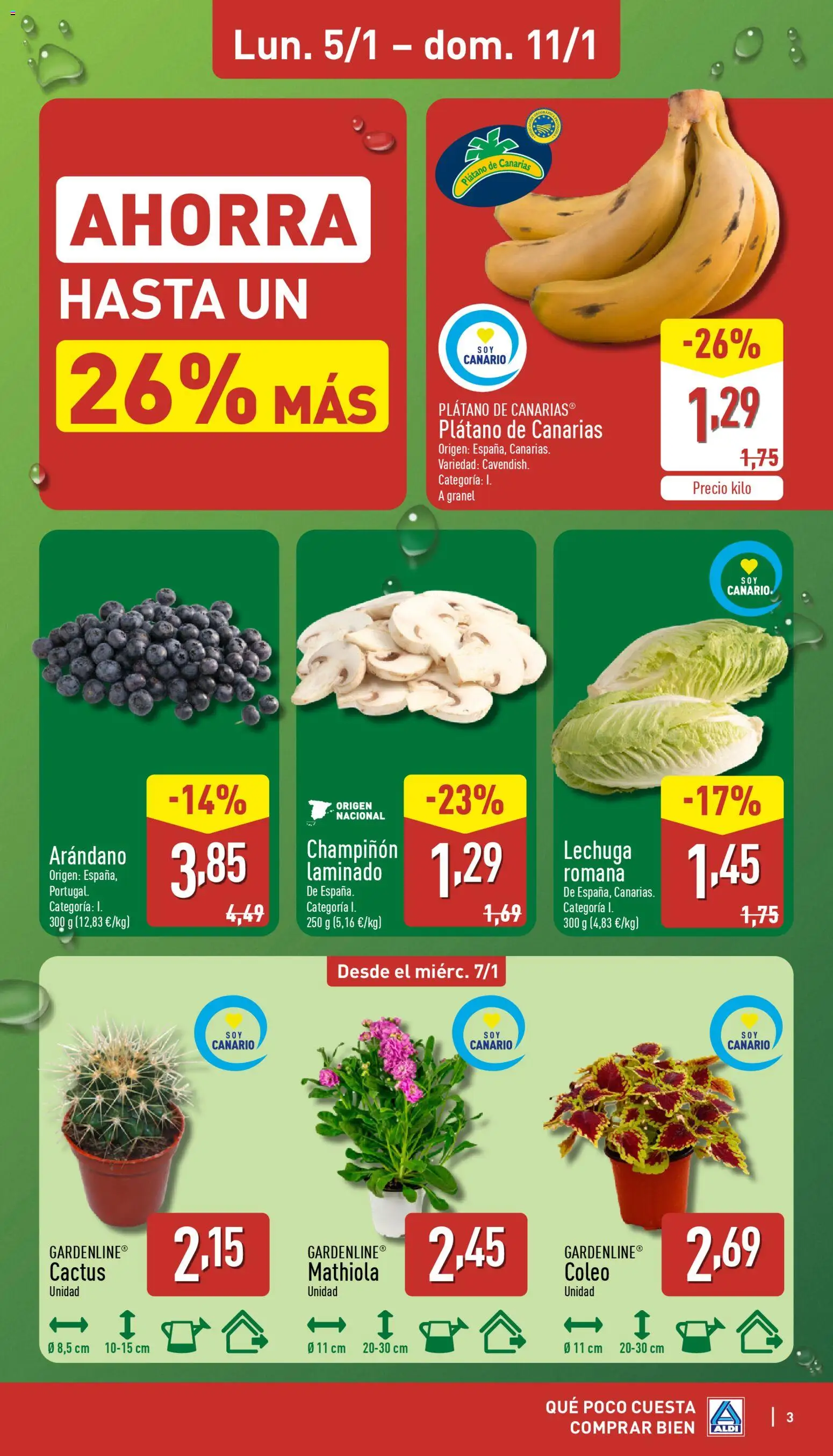 Aldi folleto Canarias │ válido desde el 05.01.2026 | Página: 3 | Productos: Μαξιλάρι λαιμού