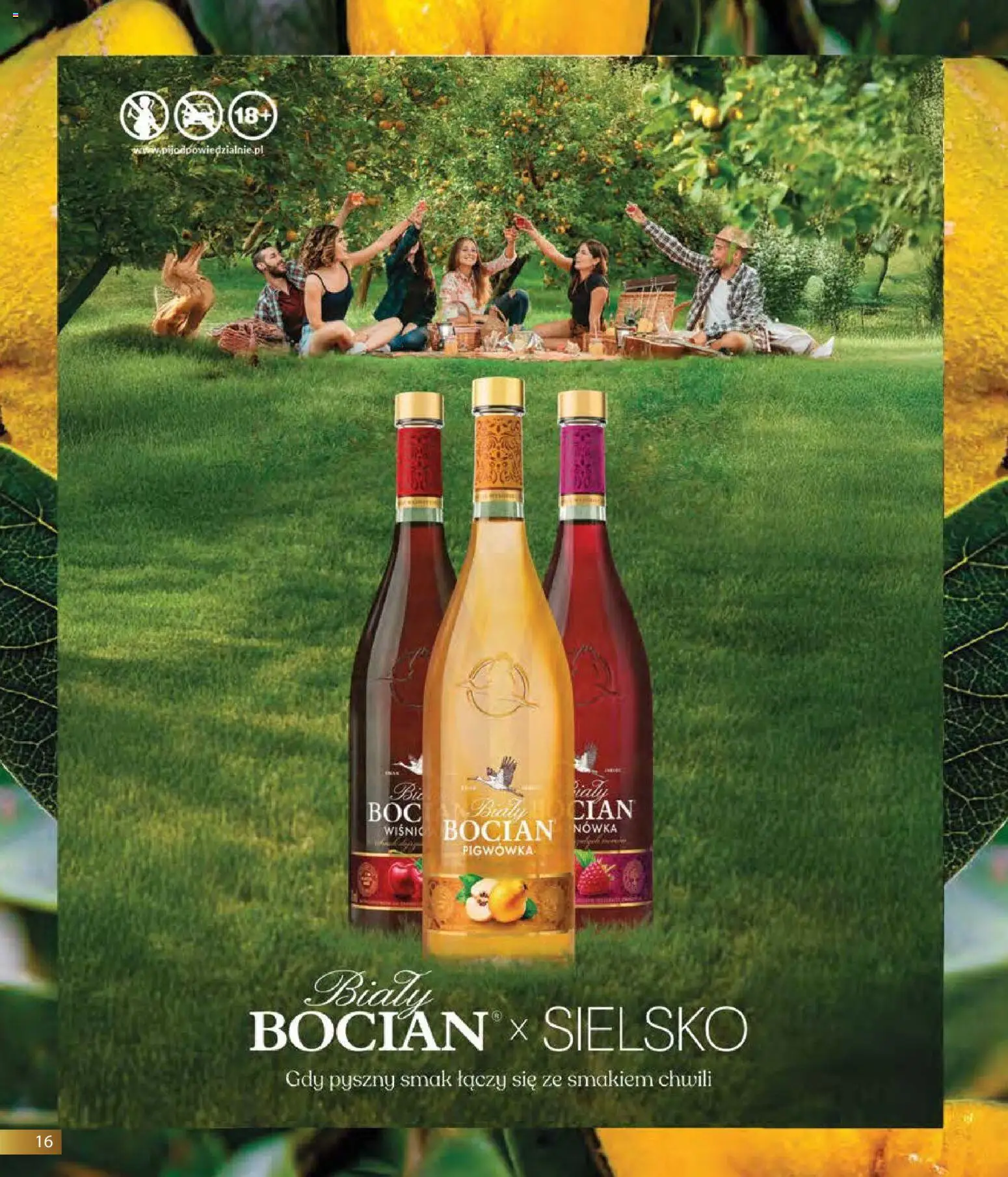 Eurocash gazetka - Horeca od 01.03.2026 | Strona: 16