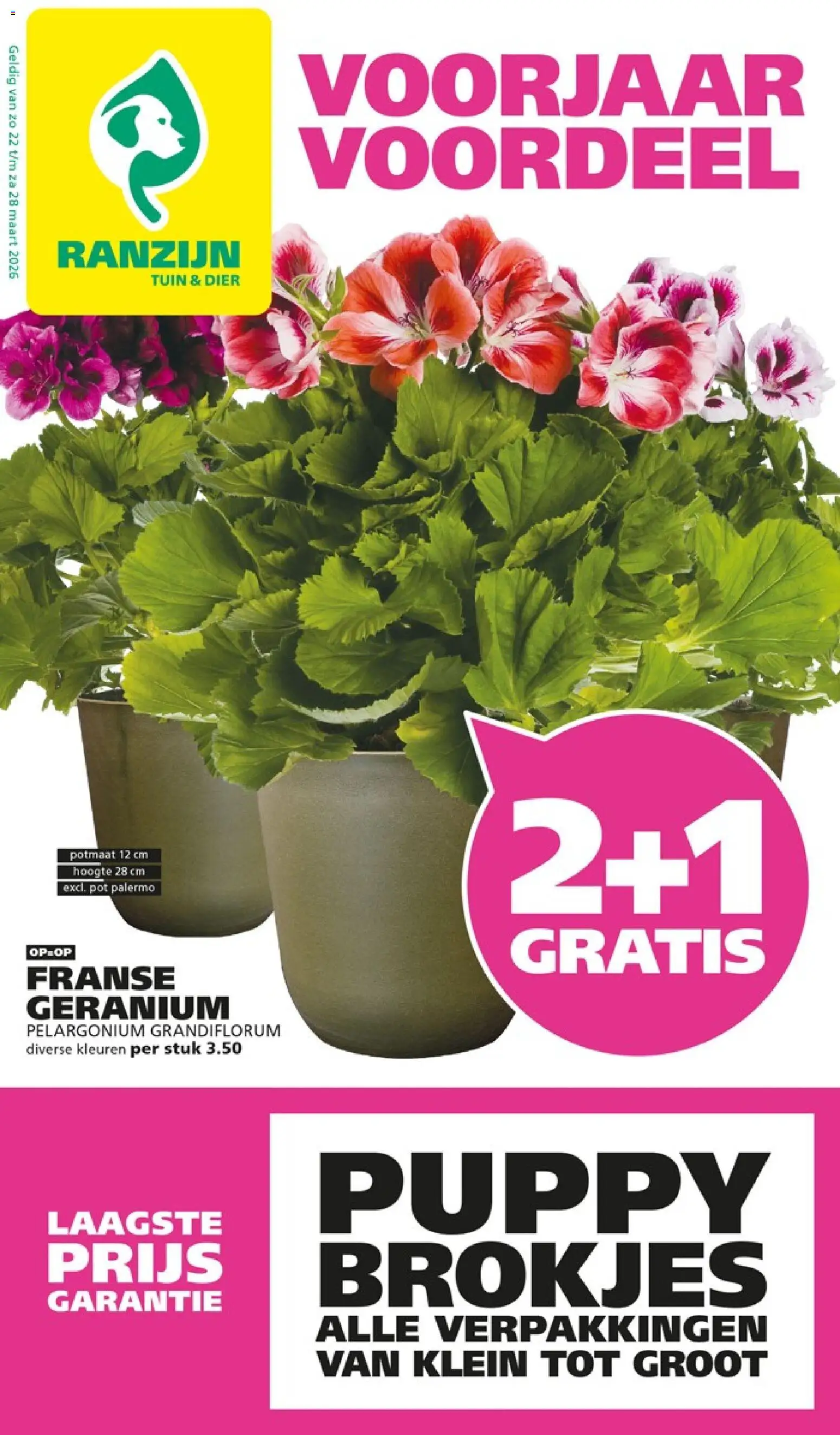 {H1} | Pagina: 1 | Producten: Pot