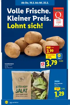 Lidl Aktionen ab 19.02.2026 gültig | Seite: 6 | Produkte: Rouge, Kartoffeln, Früchte, Salat