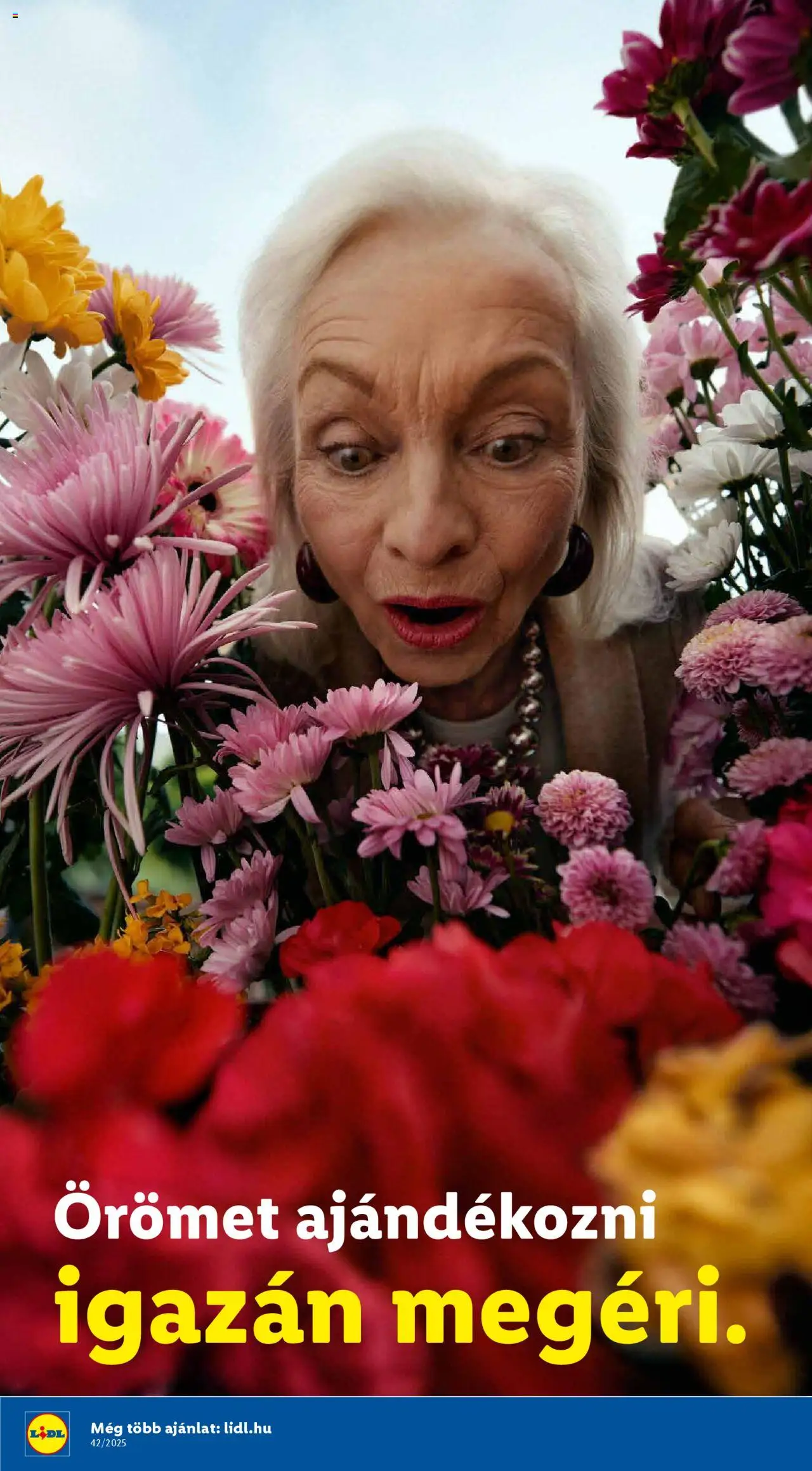 Lidl akciós ujság - amely érvényes a következő dátumtól: 16.10.2025 | Oldal: 18