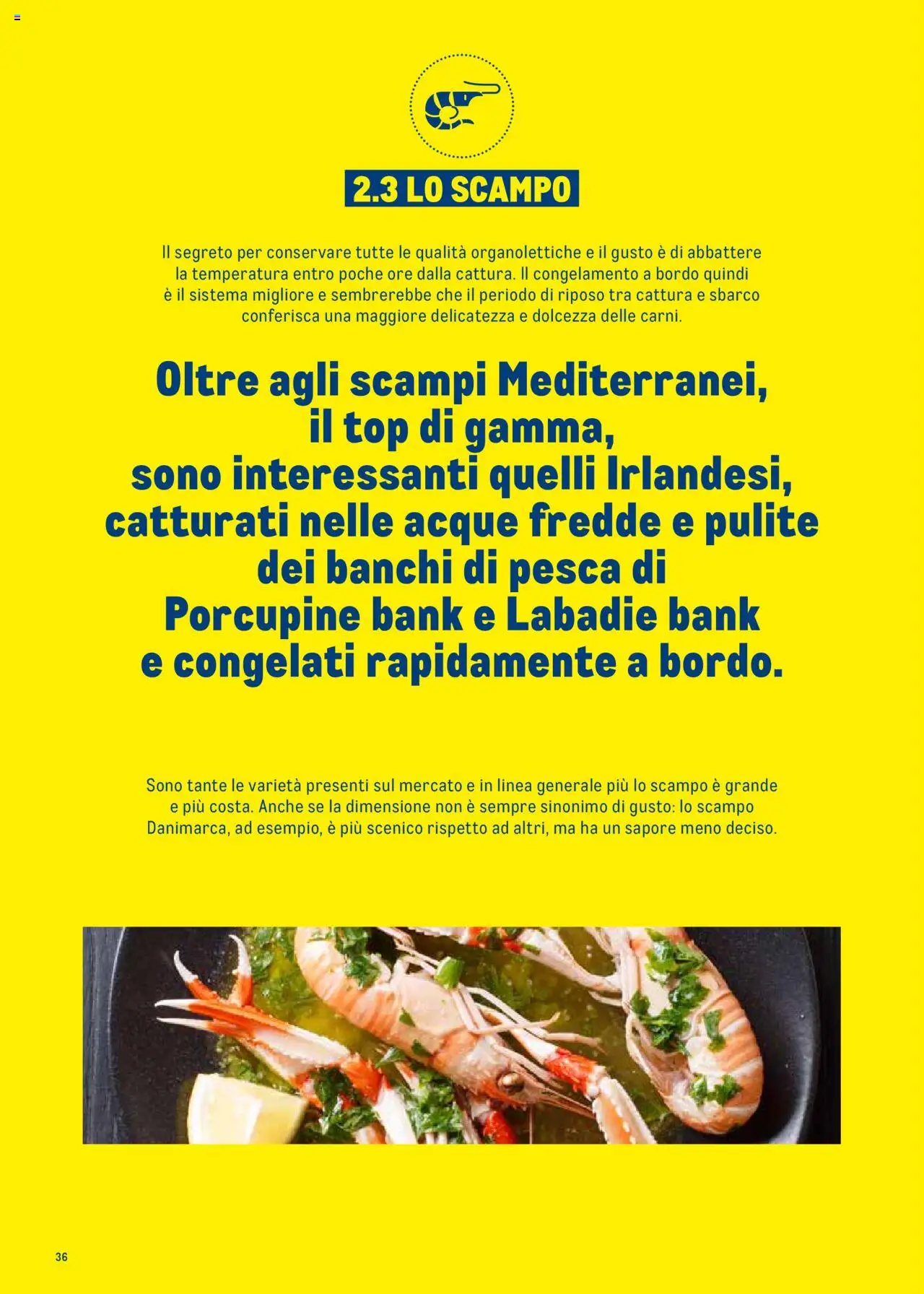 Volantino Metro del 30.06.2025 | Pagina: 36 | Prodotti: Top, Pesca