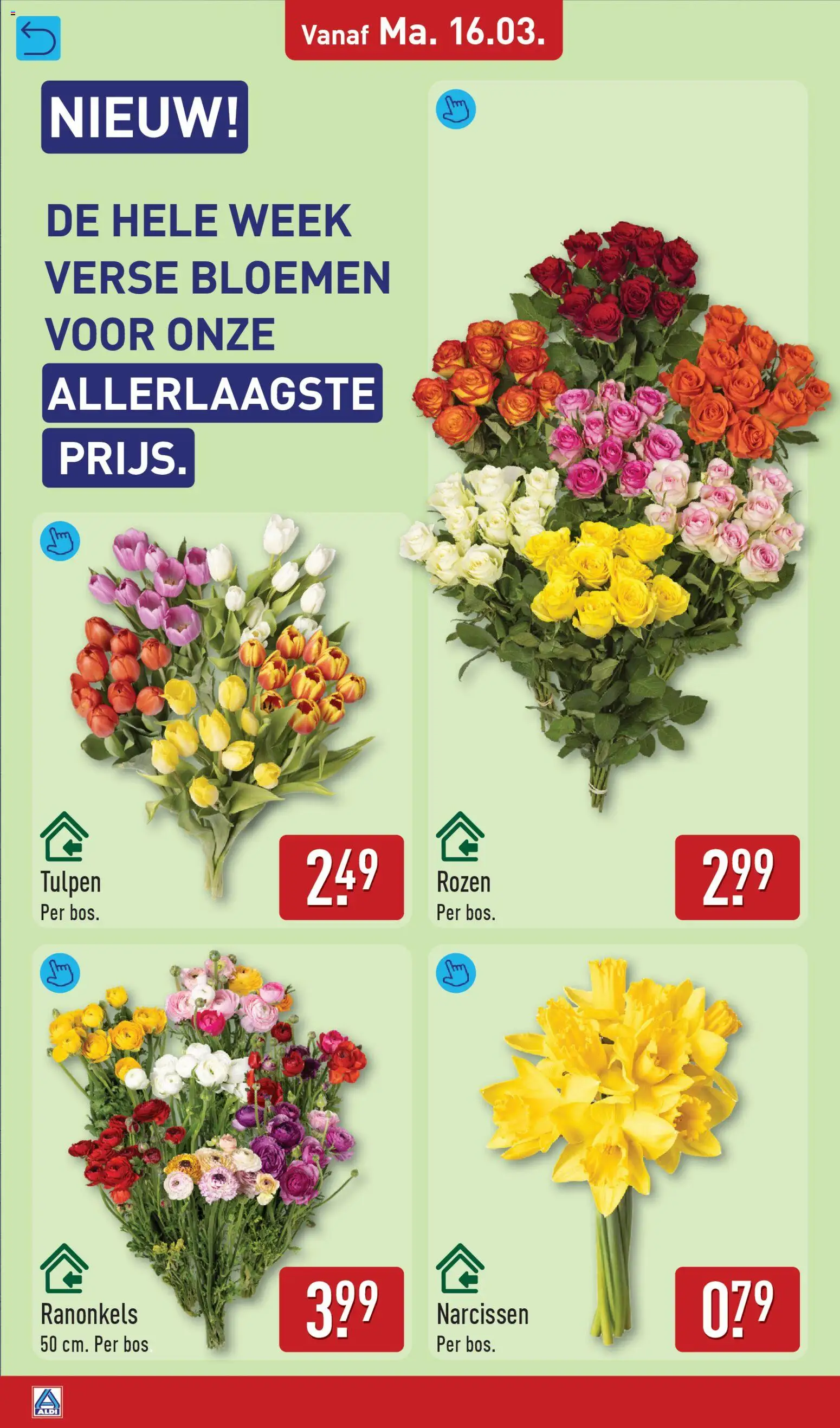 {H1} | Pagina: 38 | Producten: Bloemen