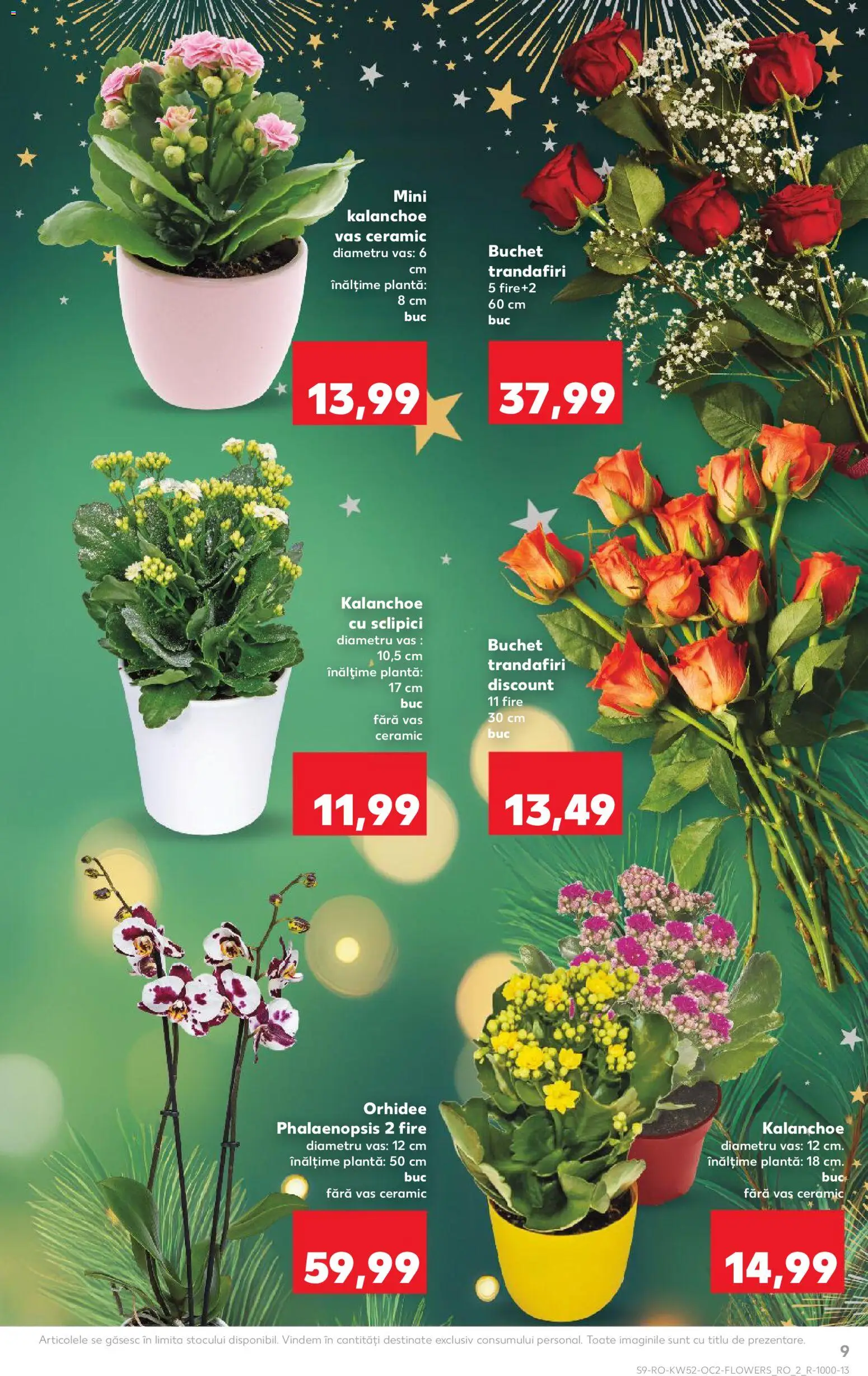 Noul catalog Kaufland – valabil de la 24.12.2025 | Pagină: 9 | Produse: Orhidee