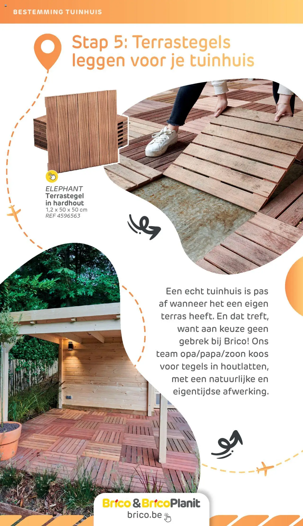  | Pagina: 31