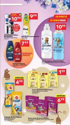 Lewiatan gazetka - Szczecin od 31.07.2025 | Strona: 7 | Produkty: Karta, Pedigree, Płyn do płukania tkanin, Wołowina