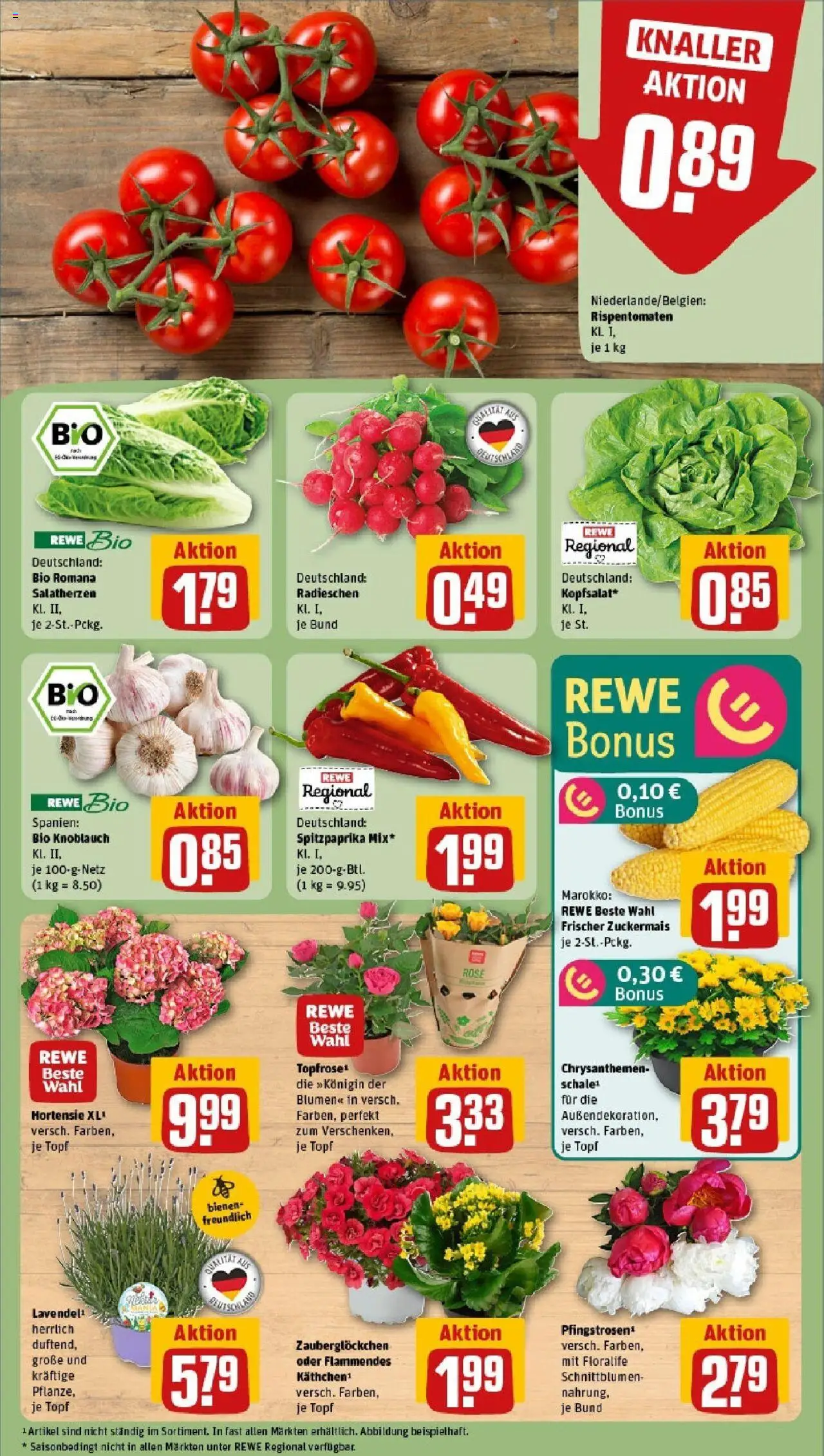 Rewe prospekt Trier	 - gültig ab dem 08.06.2025 | Seite: 7 | Produkte: Hortensie, Blumen, Knoblauch