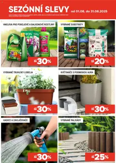 Merkury Market leták od 01.08.2025 | Strana: 20 | Produkty: Truhlíky, Květináče, Hadice, Rostliny