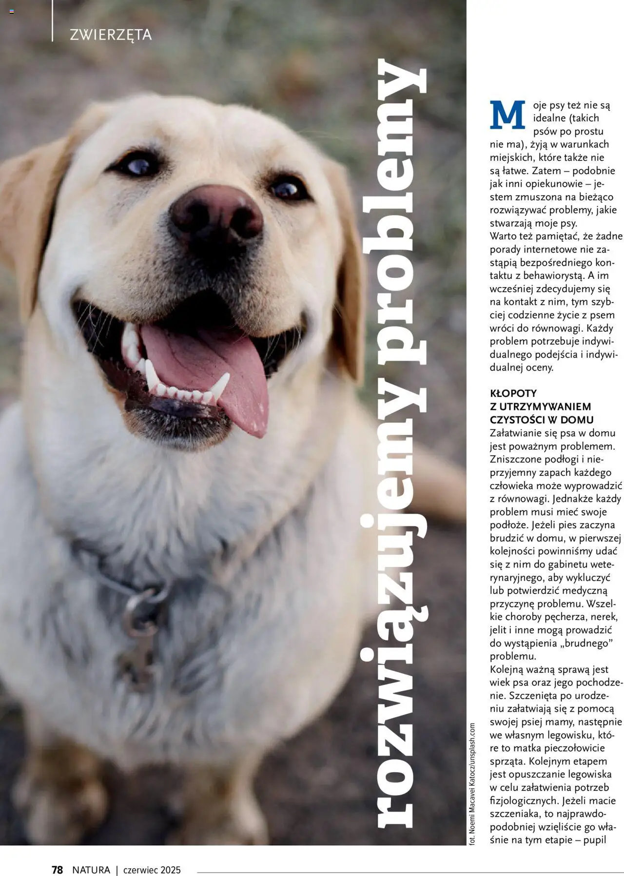 Drogerie Natura Gazetka - Magazyn Klubu Natura 06 od 01.06.2025 | Strona: 78 | Produkty: Zapach
