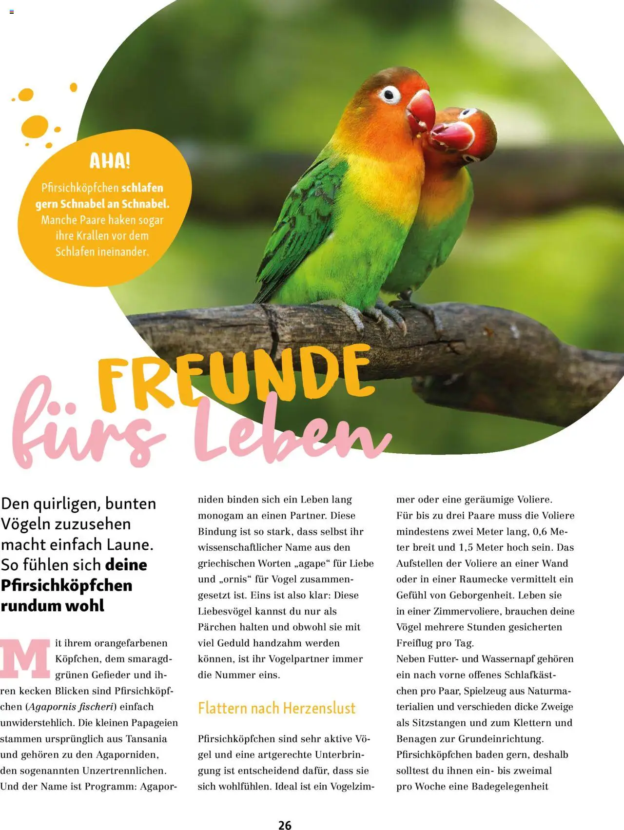 Fressnapf Friends Magazin – gültig ab 01.09.2025 | Seite: 26