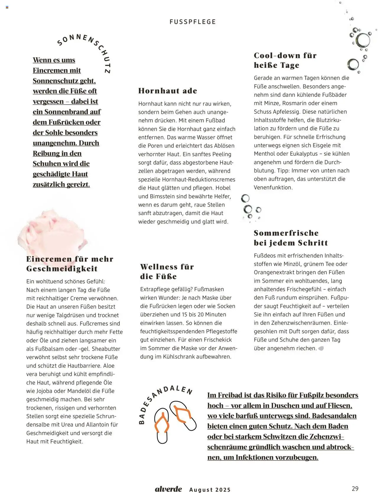 dm drogerie Prospekt 	 - gültig ab dem 01.08.2025 | Seite: 29 | Produkte: Hobel, Kühlschrank, Creme, Tee