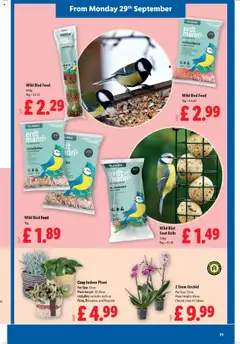  | Page: 23 | Products: Pot, Door, Plant pot, Peanut