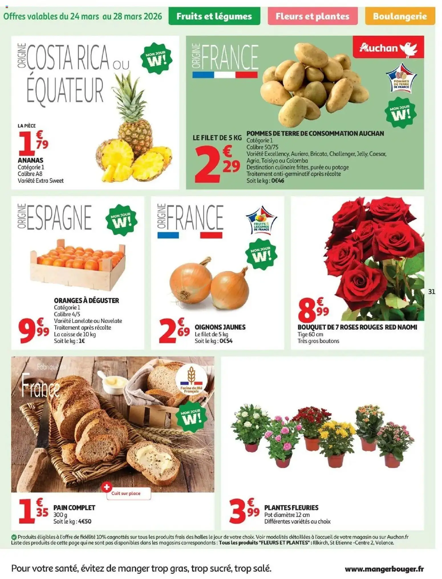 {H1} | Page: 33 | Produits: Farine de ble, Plantes, Fleurs et plantes, Ananas