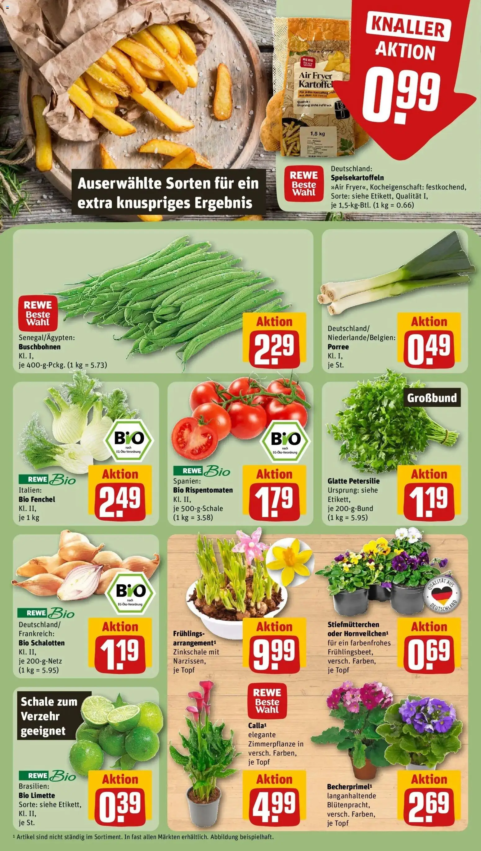 Rewe prospekt Trebur	 – gültig ab 22.02.2026 | Seite: 7 | Produkte: Stiefmutterchen, Kartoffeln, Limette, Petersilie
