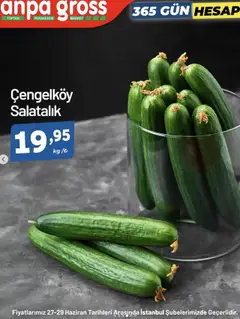 Anpa Gross Meyve Sebze - 27.06.2025 tarihinden itibaren geçerlidir | Sayfa: 3 | Ürünler: Salatalık