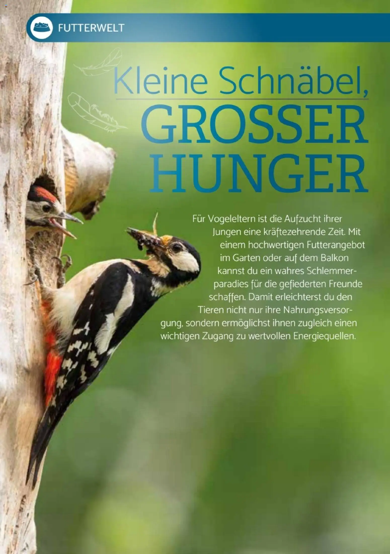 zookauf  Heimtier Journal Special – gültig ab 01.04.2026 | Seite: 8