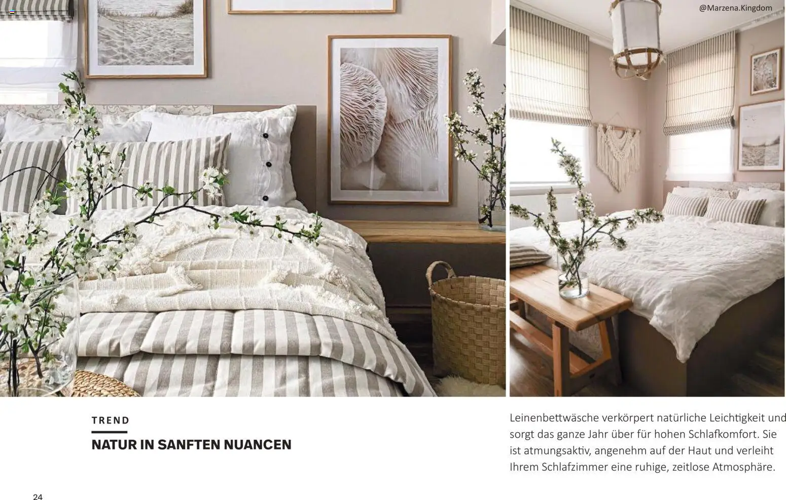 Dekoria Prospekt 	 – gültig ab 30.01.2026 | Seite: 24