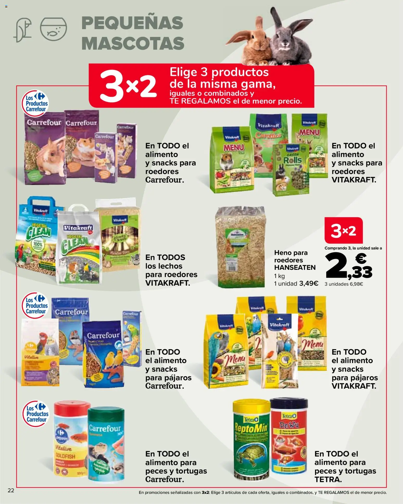 Carrefour folleto │ válido desde el 28.10.2025 | Página: 22 | Productos: Té