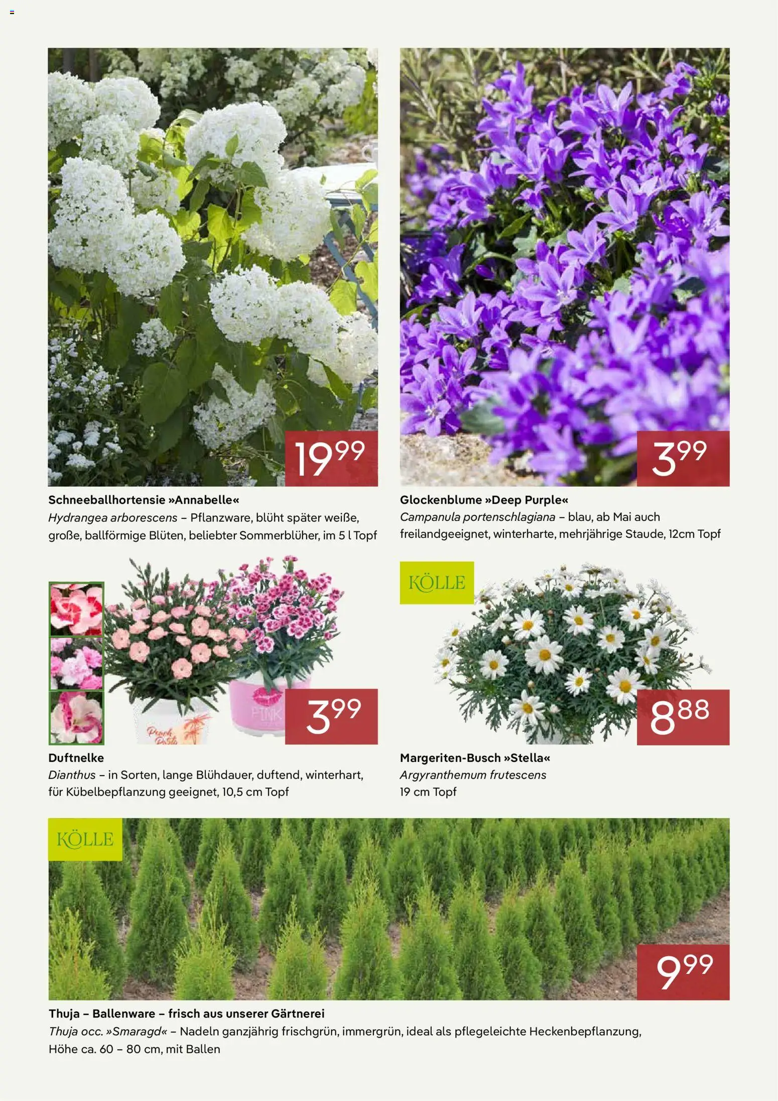 Pflanzen-Kölle Prospekt 	April – gültig ab 01.04.2026 | Seite: 2