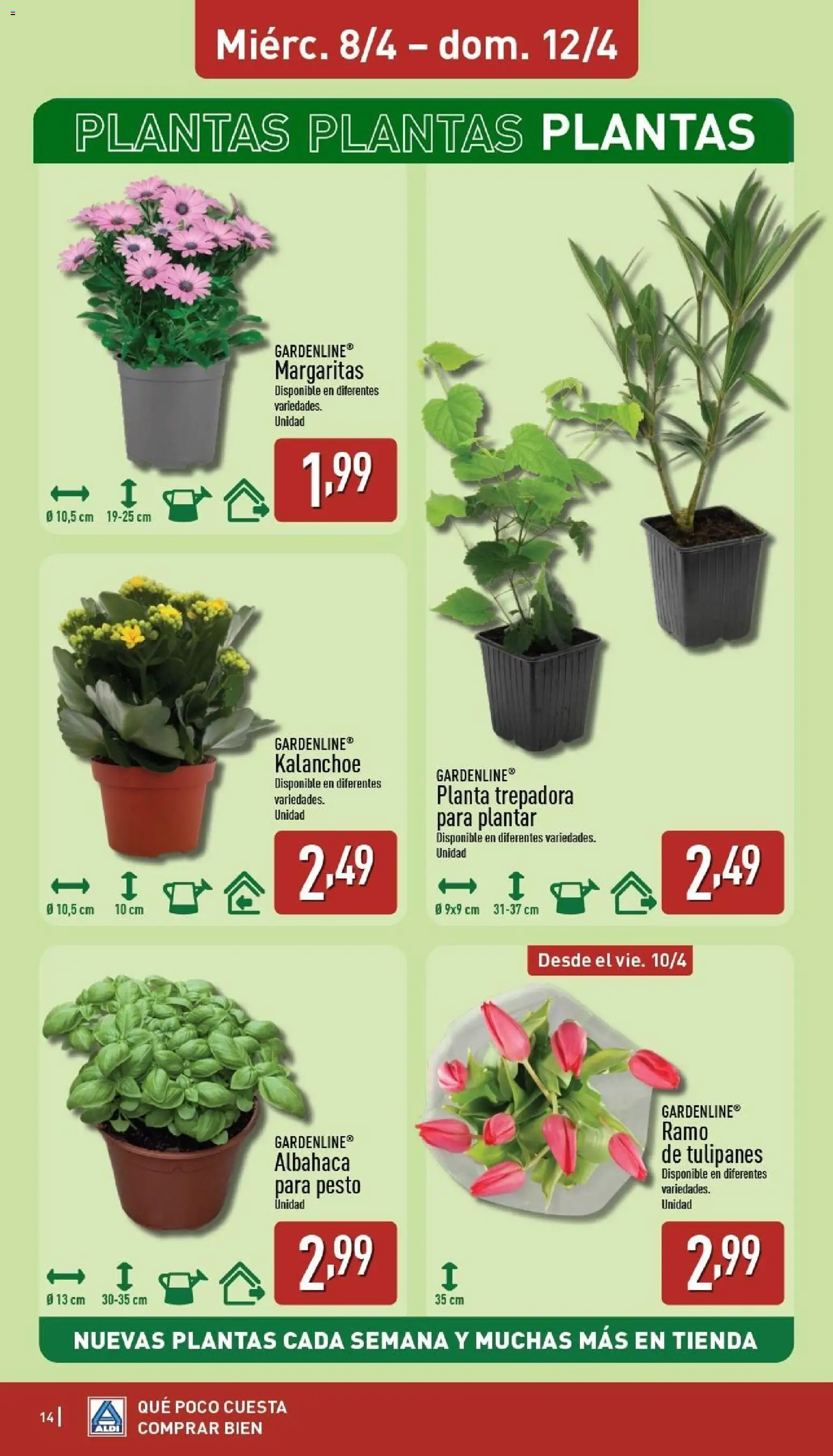 Aldi folleto Península │ válido desde el 06.04.2026 | Página: 14