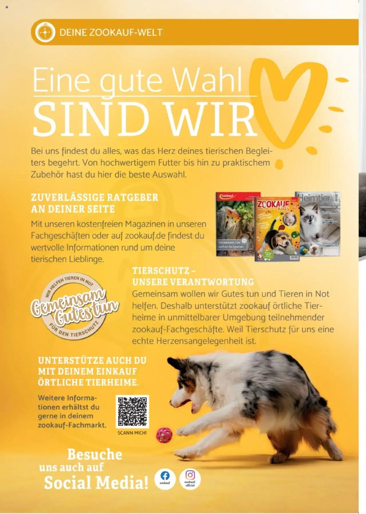 zookauf Heimtier Journal Special – gültig ab 01.09.2025 | Seite: 14
