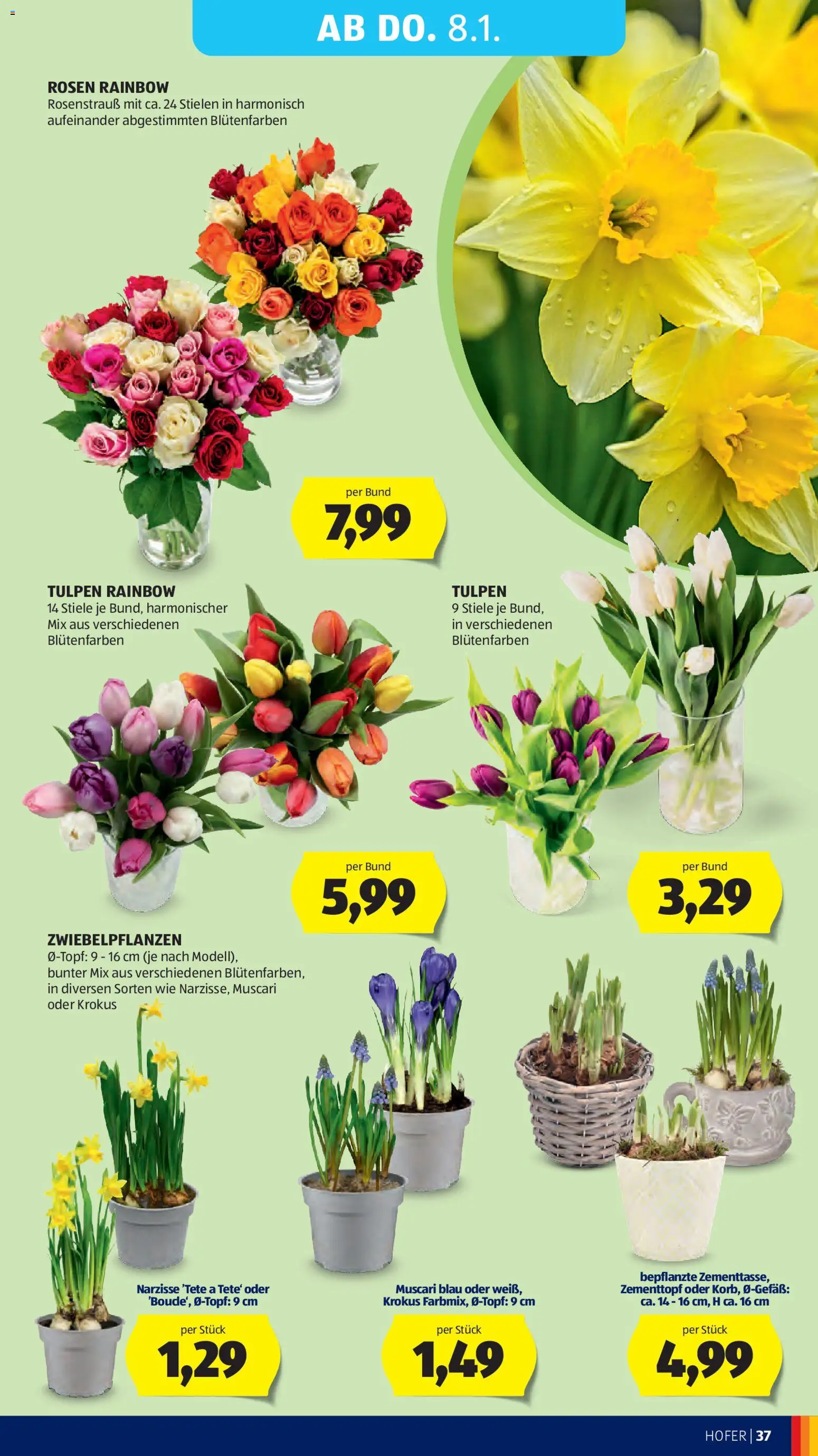 Hofer AT akciós ujság - amely érvényes a következő dátumtól: 02.01.2026 | Oldal: 41