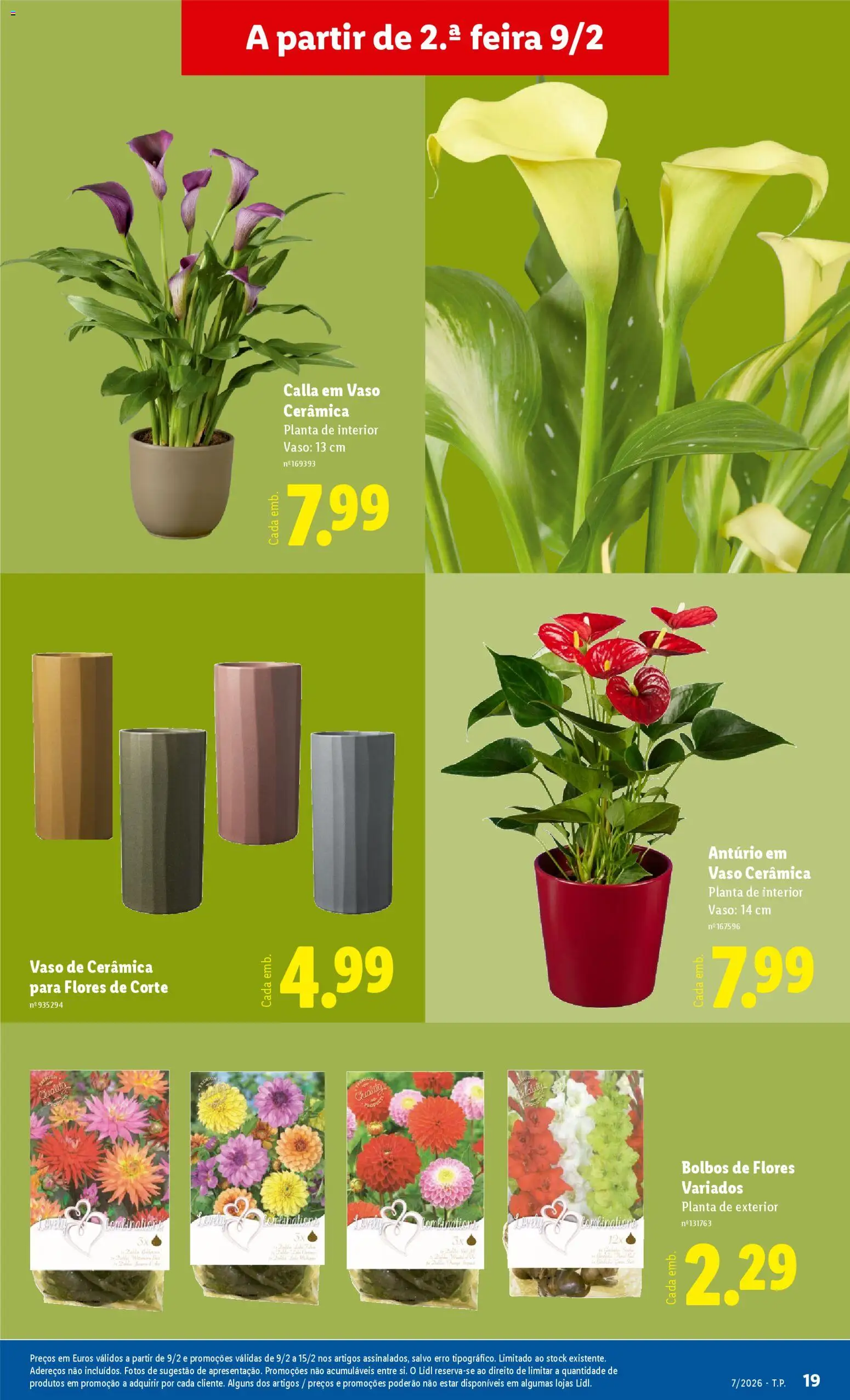 Lidl Novidades │ válido de 09.02.2026 | Página: 19