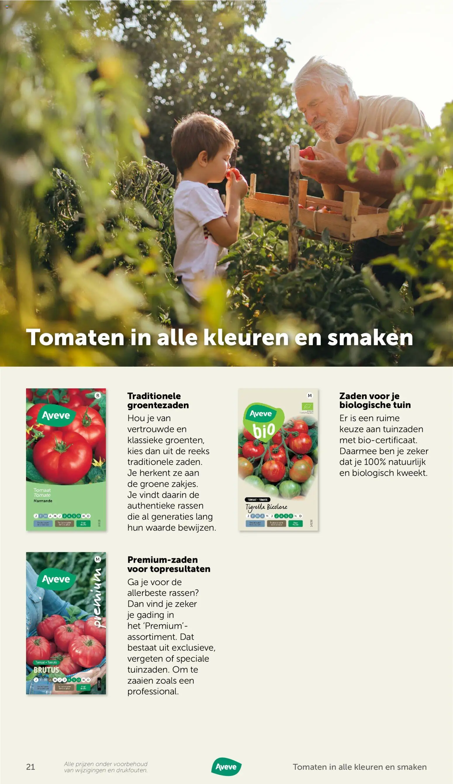 {H1} | Pagina: 21 | Producten: Tomaten, Tomaat