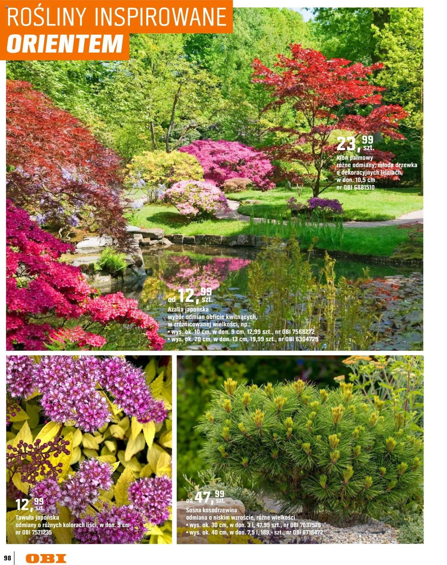OBI gazetka - Ogród od 11.03.2026 | Strona: 98 | Produkty: Azalia, Rosliny