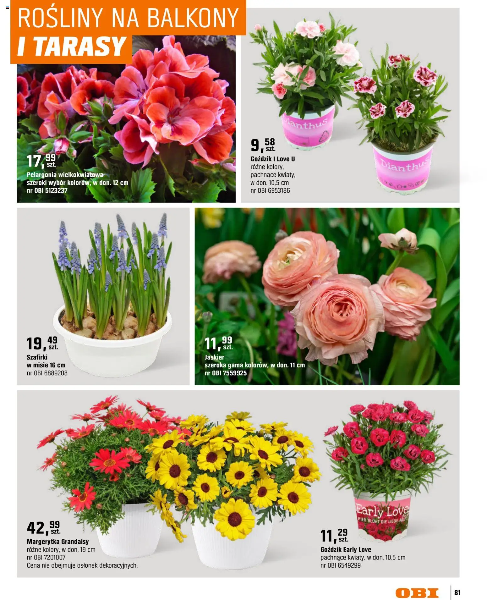 OBI gazetka - Ogród od 11.03.2026 | Strona: 81 | Produkty: Goździk, Rosliny