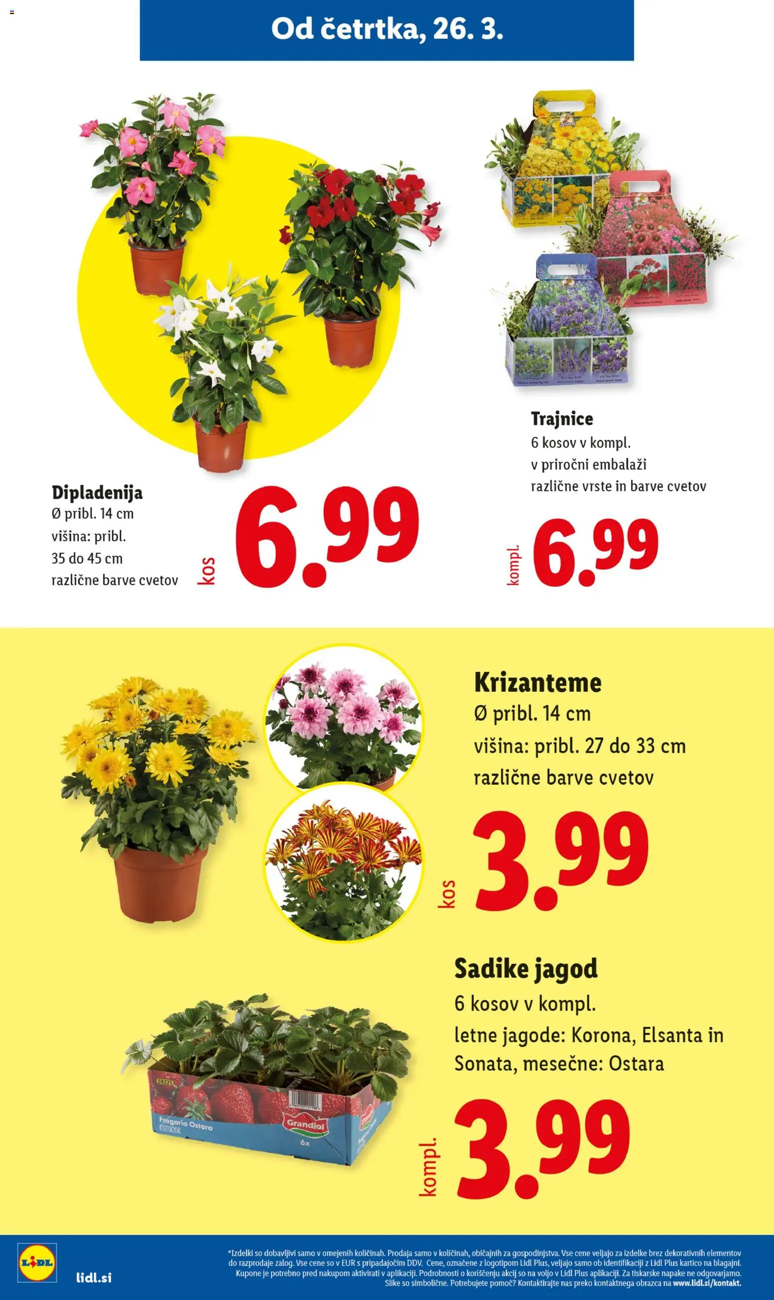 Novi Lidl katalog ponudbe – veljaven od 20.04.2026 | Stran: 26 | Izdelki: Jagode