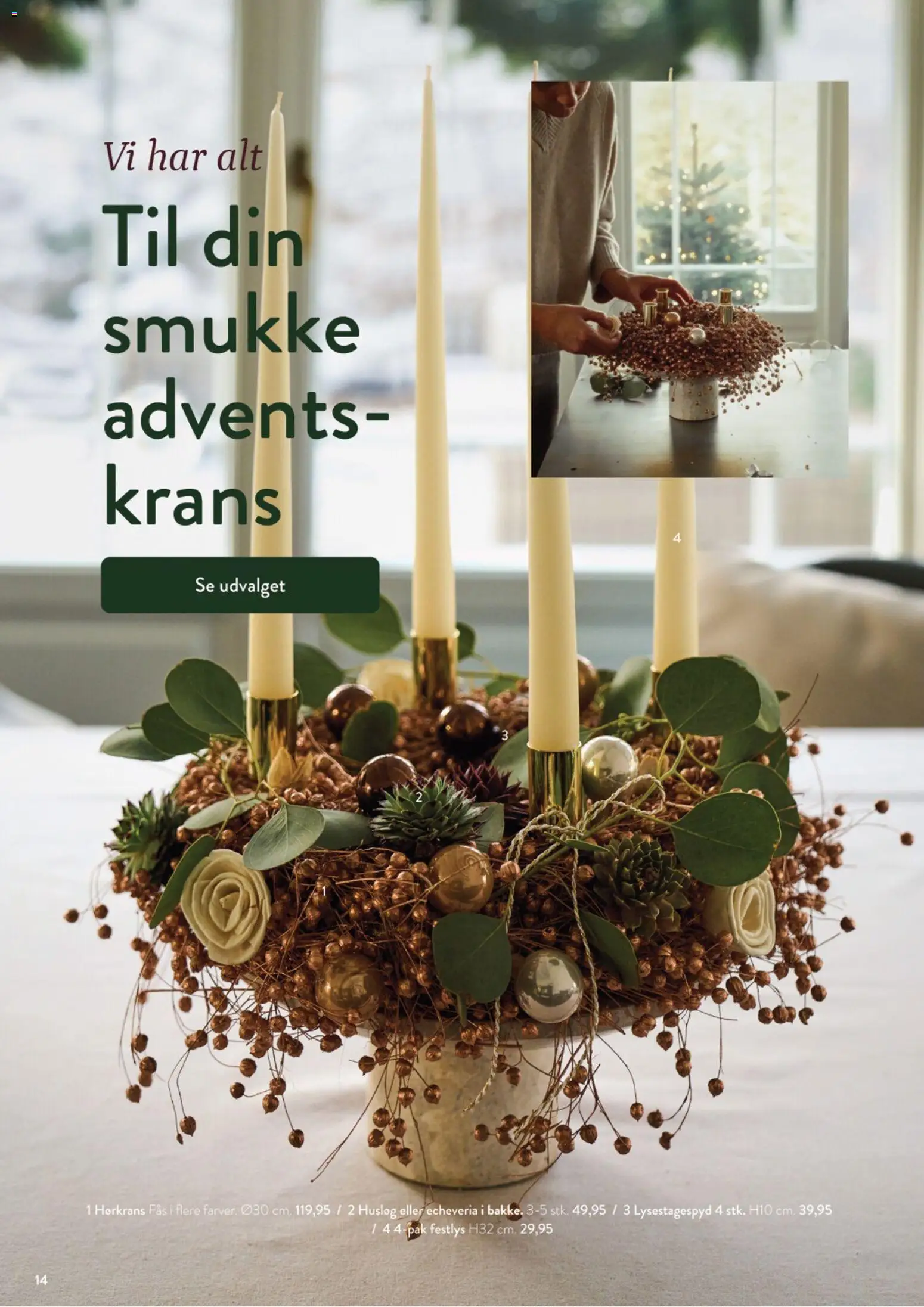 Plantorama tilbudsavis – gyldig fra 23.11.2025 | Side: 6