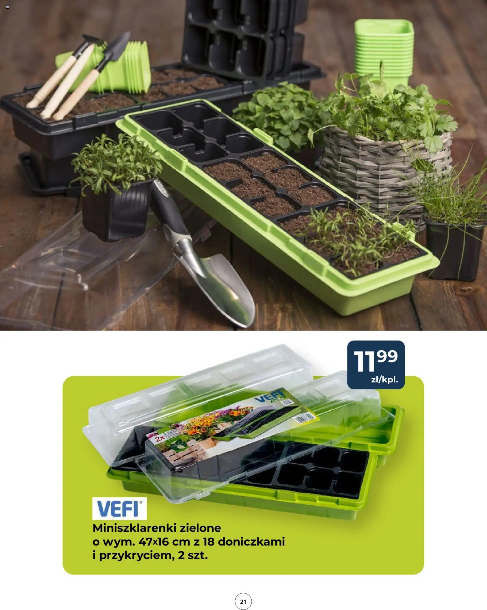 Mrówka Gazetka od 12.02.2026 | Strona: 21