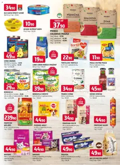 Terno leták od 16.07.2025 | Strana: 11 | Produkty: Chlebová mouka, Maggi, Tortilla, Konzerva pro kočky